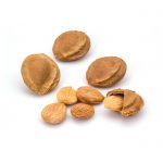 Kayısı Çekirdeği